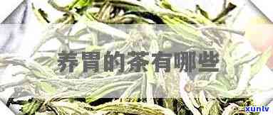 胃病喝什么茶水好？专家推荐最养胃的三种茶