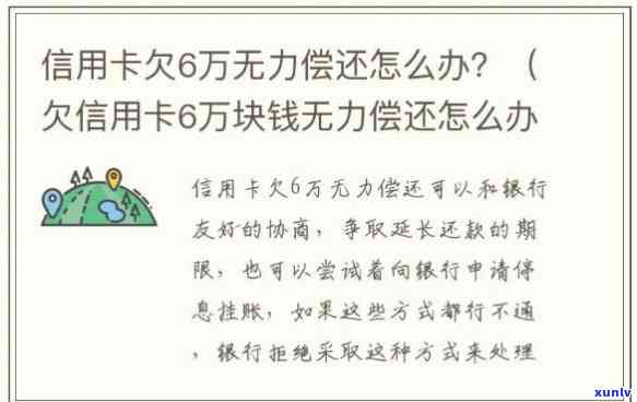 冰岛地界普洱茶价格，探索冰岛地界的独特普洱茶：价格解析与品尝体验