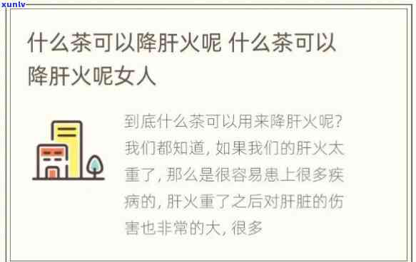 喝什么茶去火气效果？女性专用推荐