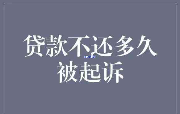 优质豆种白底青翡翠手镯：时尚与价值的完美结合