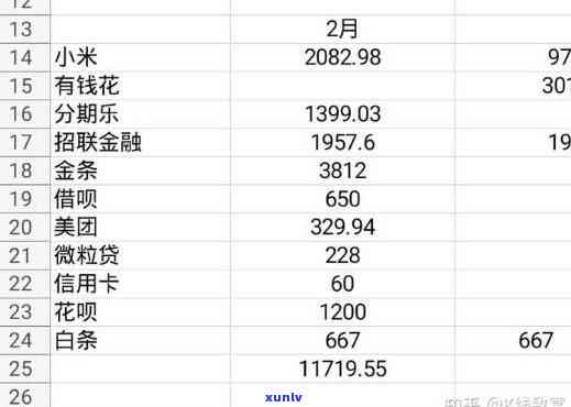 网贷欠了20多家一共30万，深陷网贷泥潭：一位借款人欠下20多家平台共30万的债务危机