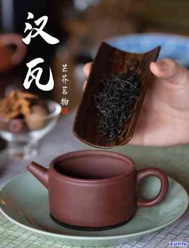 沉香泥适合泡什么茶-沉香泥适合泡什么茶叶