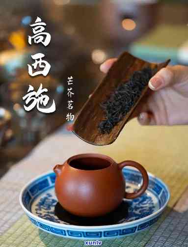 沉香泥适合泡什么茶-沉香泥适合泡什么茶叶