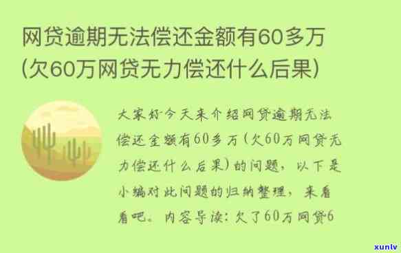 欠二十几万网贷无力偿还：怎样解决及可能的法律结果？