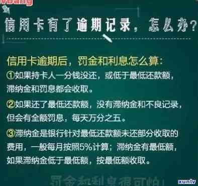 欠信用卡备用金还不起，可能面临的结果是什么？