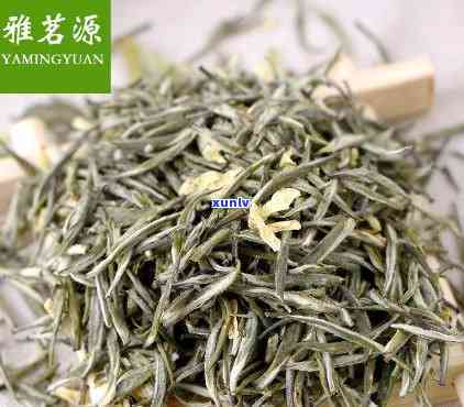 香山雪芽属于什么茶种，揭秘茶叶品种：了解香山雪芽属于哪种茶种？