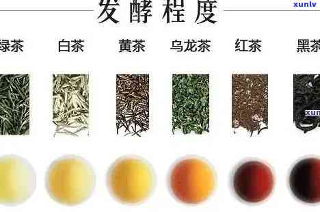 什么茶属于半发酵茶类，探秘茶叶世界：哪些茶属于半发酵茶类？