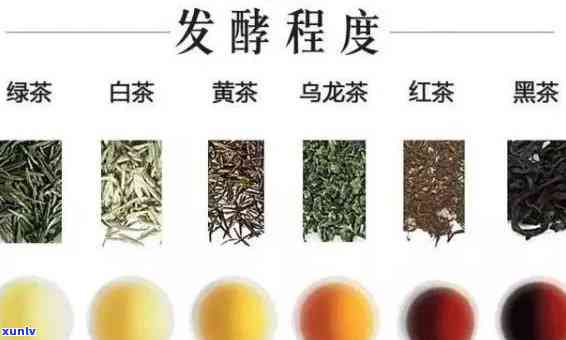 哪种茶是半发酵茶，探讨茶叶种类：半发酵茶的代表品种是什么？