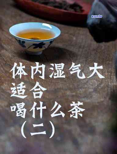 伏天喝什么茶排湿气-伏天喝什么茶排湿气