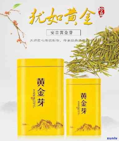 登月单芽茶是什么茶-登月单芽茶多少钱一盒