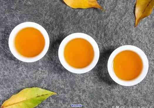 冬适合饮用什么茶？详解各类茶叶的适饮节与功效