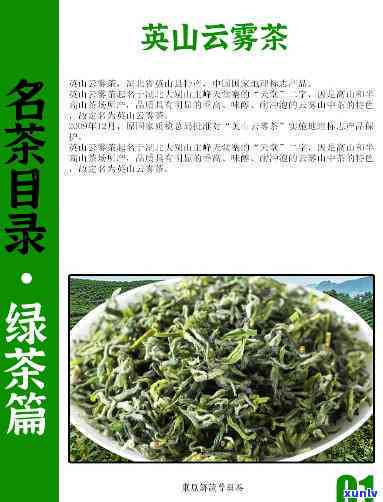 台山白云茶：什么茶种？详细解析