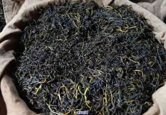 台山白云茶多少钱一斤，台山白云茶价格查询：每斤多少钱？