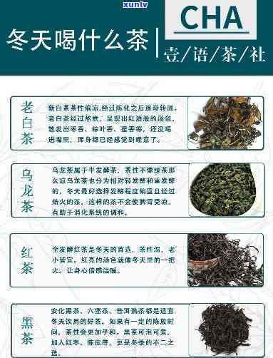 冬天应该喝什么茶，冬日养生首选：最适合冬天饮用的茶叶推荐