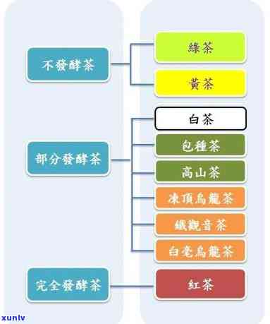 大排档茶叫什么茶，探究美食文化：大排档中的特色饮品——茶的种类与起源