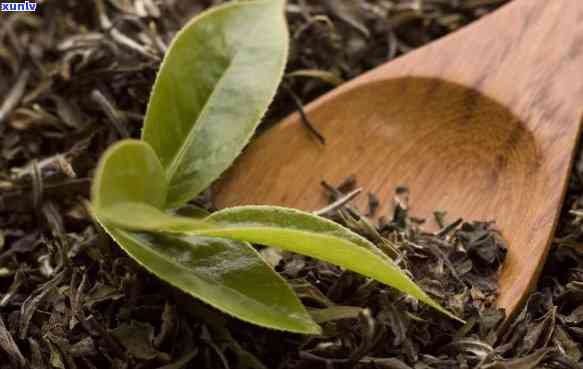 龙岩斜背茶：什么茶种？种类介绍