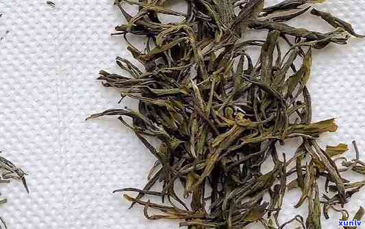 龙岩斜背茶：什么茶种？种类介绍