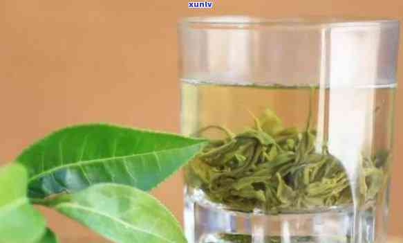 龙岩斜背茶：什么茶种？种类介绍