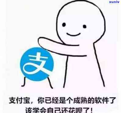 人没了花呗不还：后果严重？全网热议！