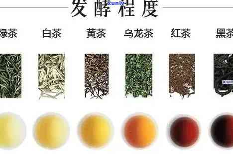 什么茶是半发酵的茶叶，探秘茶的世界：哪种茶是半发酵的？