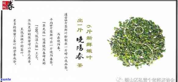 台茶12号是什么茶类，揭秘茶叶新品——台茶12号，属于何种茶类？