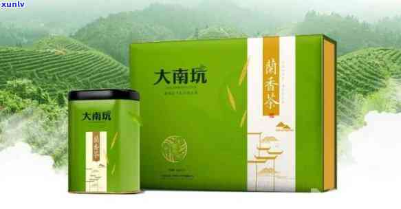 大南山茶业是什么茶-大南山茶业是什么茶叶