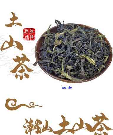 土山茶是属于什么茶-潮汕土山茶是属于什么茶