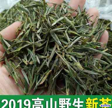 溪口高山茶多少钱一斤？最新价格全知道！