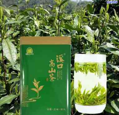 溪口高山茶多少钱一斤？最新价格全知道！