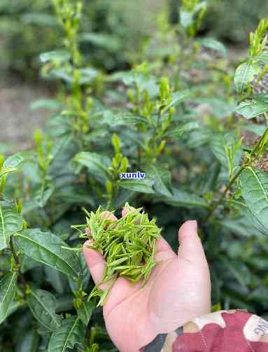 有钱花逾期了8天怎么办，怎样解决信用卡逾期8天的情况？——有钱花逾期解决方案