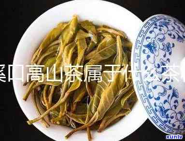 溪口高山茶是什么茶-溪口高山茶是什么茶种