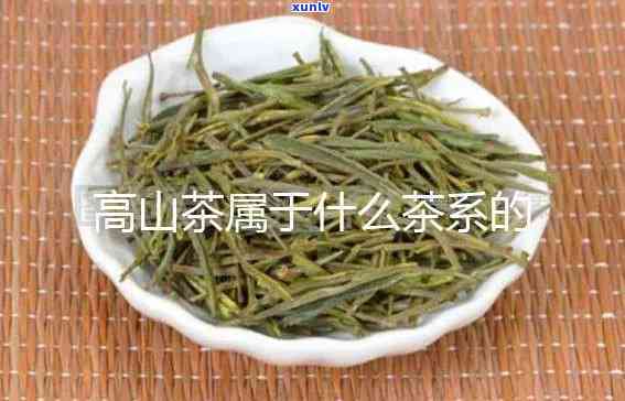 溪口高山茶是什么茶-溪口高山茶是什么茶种