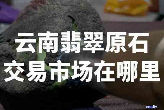 原石买卖市场在哪里，揭秘原石交易市场：哪里是更佳购买地点？