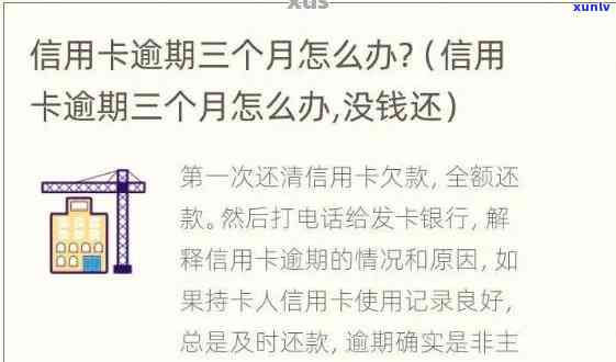 八马夫人礼普洱：生茶、福鼎白茶、国瓷G20，全系列一应俱全！