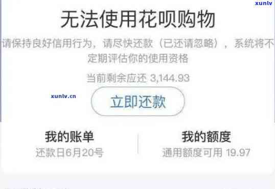 网商贷逾期怎么办网商贷逾期会不会上，网商贷逾期解决  及对信用记录的作用解析