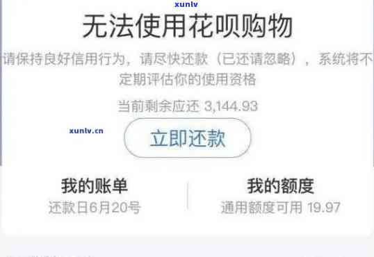 网商贷逾期怎么办网商贷逾期会不会上，网商贷逾期解决  及对信用记录的作用解析