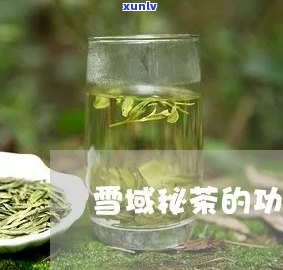 探究雪域茶的功效与作用：全面解析其健益处