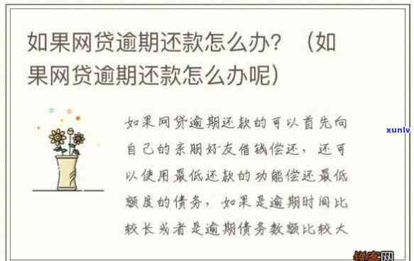 十几个网贷逾期怎么办？全面逾期解决策略