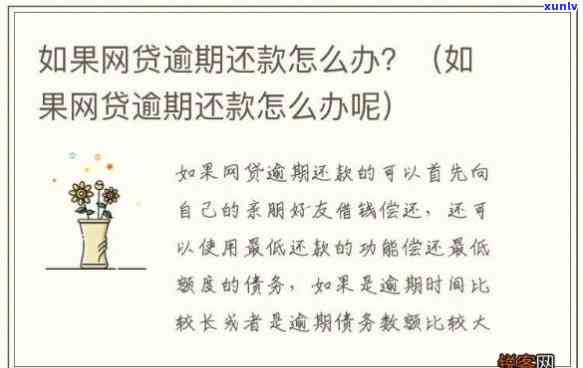 十几个网贷全部逾期：怎样解救？