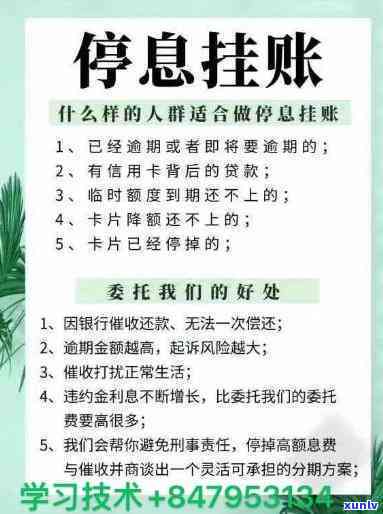 停息挂账成功率高吗？解析申请及成功率因素