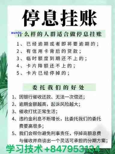 白莺山生普怎么样：品质与口感的完美结合，值得品尝！