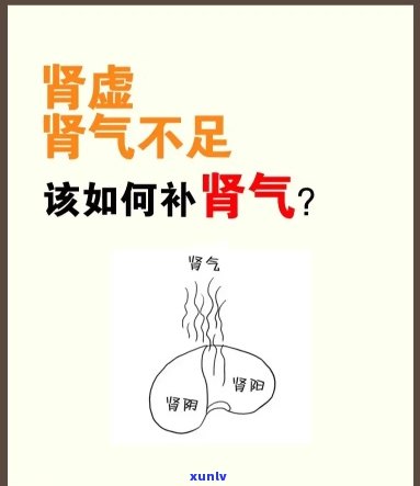 普洱茶：从产地到 *** 工艺，全方位了解这种神奇茶叶的奥秘