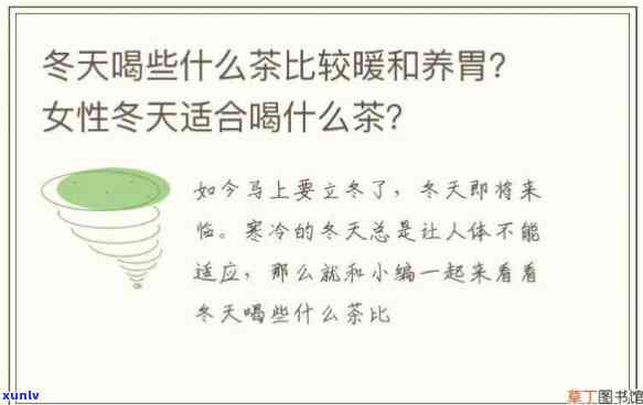 冬喝什么茶好女生喝的多，冬女性适合饮用哪些茶？健又美味的选择推荐