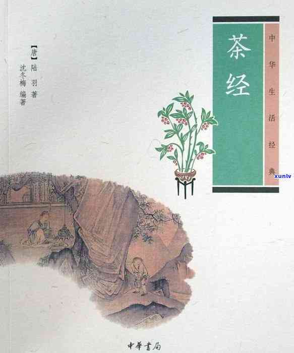 代的茗粥由何茶叶制成？探究代茶文化中的特色饮品