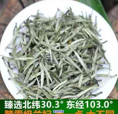 十年老树普洱茶饼多少钱：十年普洱熟茶饼价格表及市场趋势分析