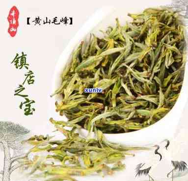 产于安徽的是什么茶-名茶产于安徽的是什么茶