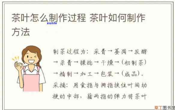 代煎茶法：使用何种茶叶？需要哪些 *** 程序？