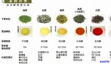 什么茶叶消食化积？功效对比告诉你哪种最有效！