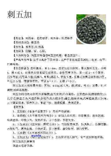 刺五加是什么茶，探究养生佳品：刺五加是什么茶？