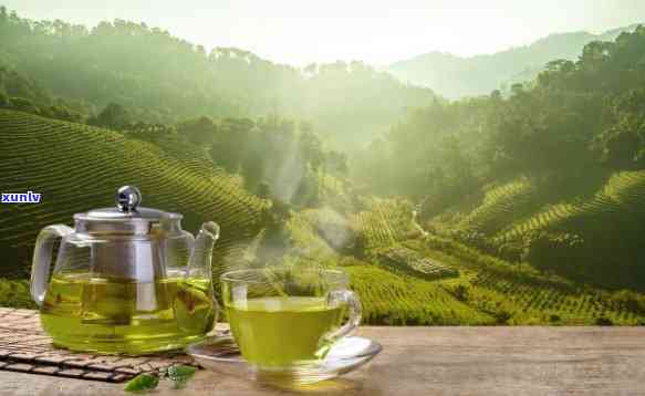 什么茶瘦身效果喝，揭秘瘦身效果的茶饮，让你轻松享瘦！